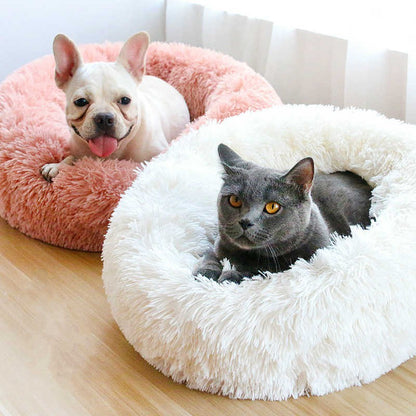 Happy Paws™ Cloud Bed