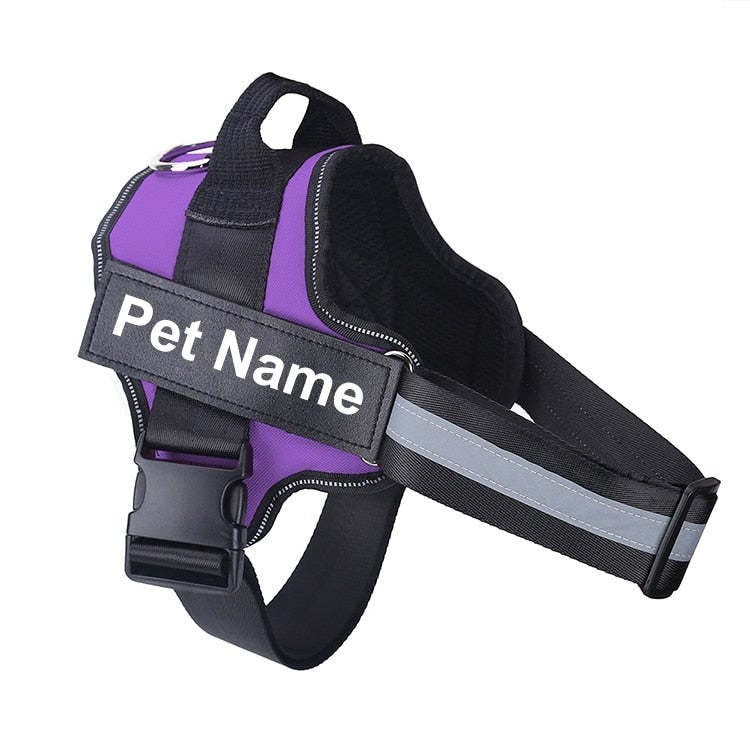 Customizable Dog Harness