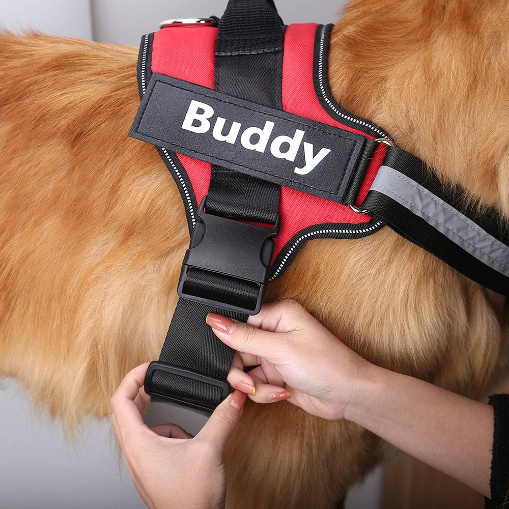 Customizable Dog Harness