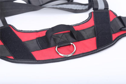 Customizable Dog Harness